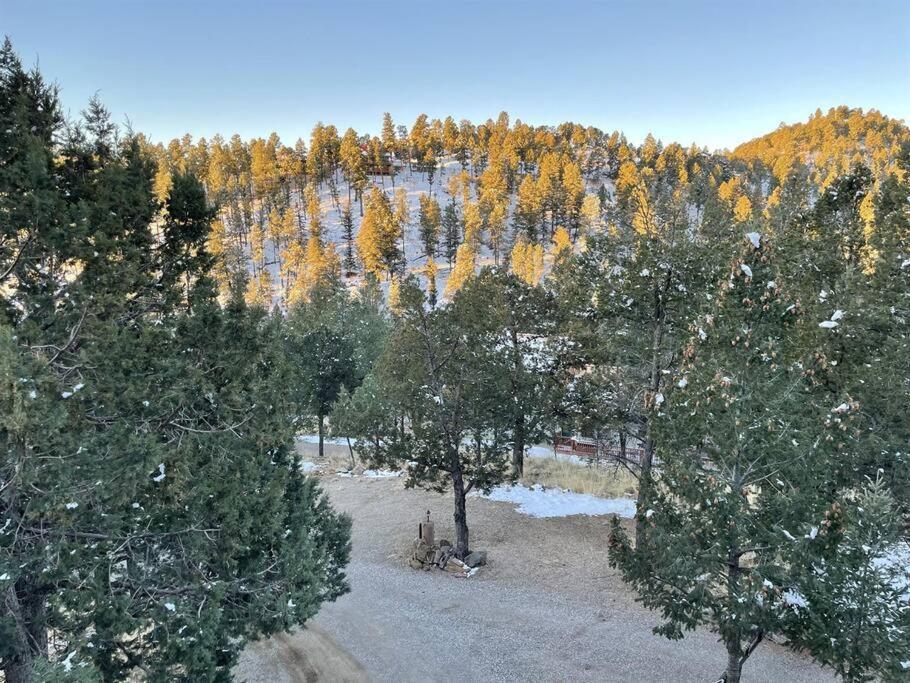 Perk Canyon Hidden Acres-Hot Tub-Gas Fireplace 루이도소 외부 사진